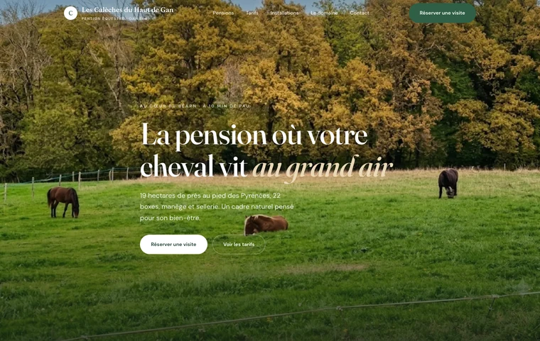 Site internet Les Calèches du Haut de Gan, pension équestre à Gan
